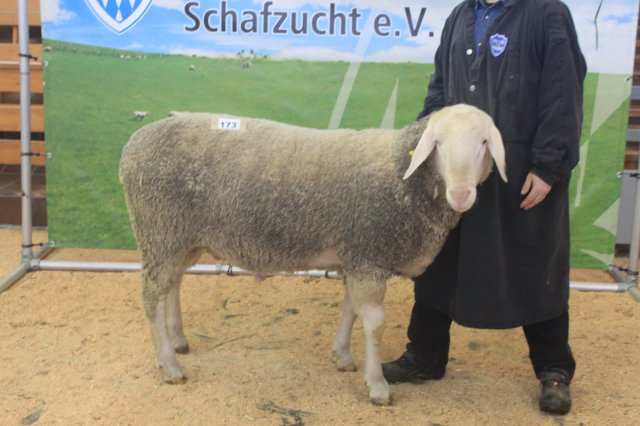kat_173_de010996691959