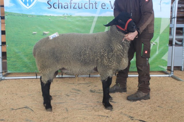 kat_202_de010991550728