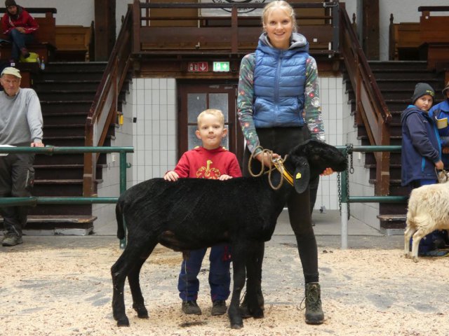 DE010990580102 BY-PB