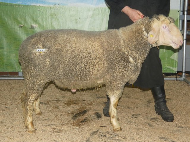 DE010996482720 BY-FR