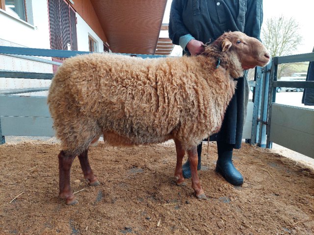 DE010993720105 BY-GB