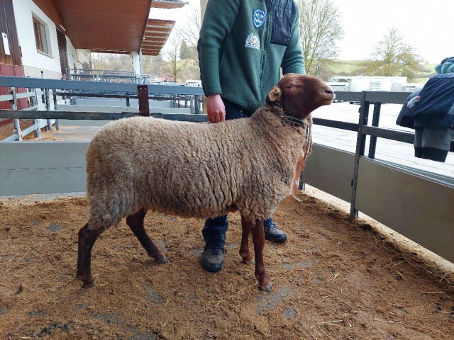 DE010993030018 BY-KP