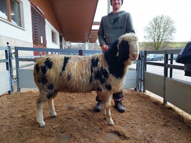 DE010997560027 BY-SZ