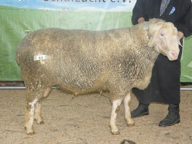 DE010996482589 BY-FR