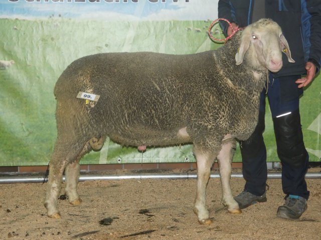 DE010996782127 BY-SI