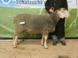 2024 Bilder 1A Tiere &raquo; 2024: 1A Tiere Ingolstadt