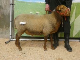 2026 Bilder 1A Tiere &raquo; 1A Tiere Ingolstadt 21.01.2026