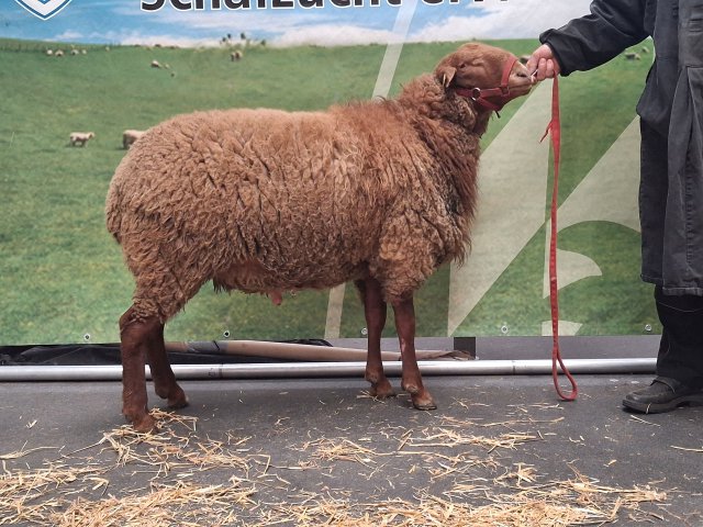 DE010997220193 BY-KG